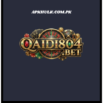 Qaidi804 Game
