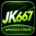 JK 667 Game