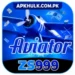 ZS999 Game