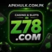 Z78 Game
